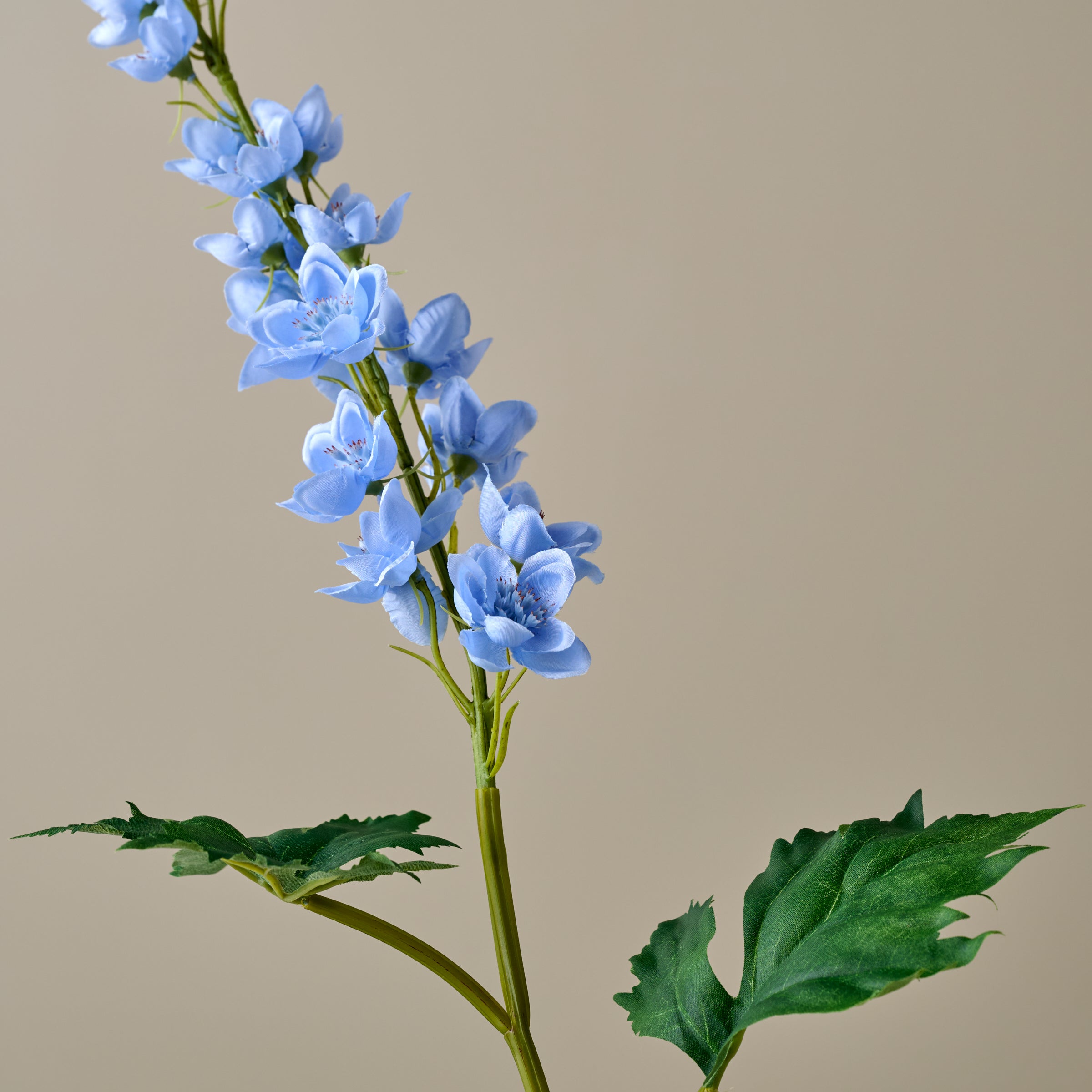 Larkspur Stem - Image 3