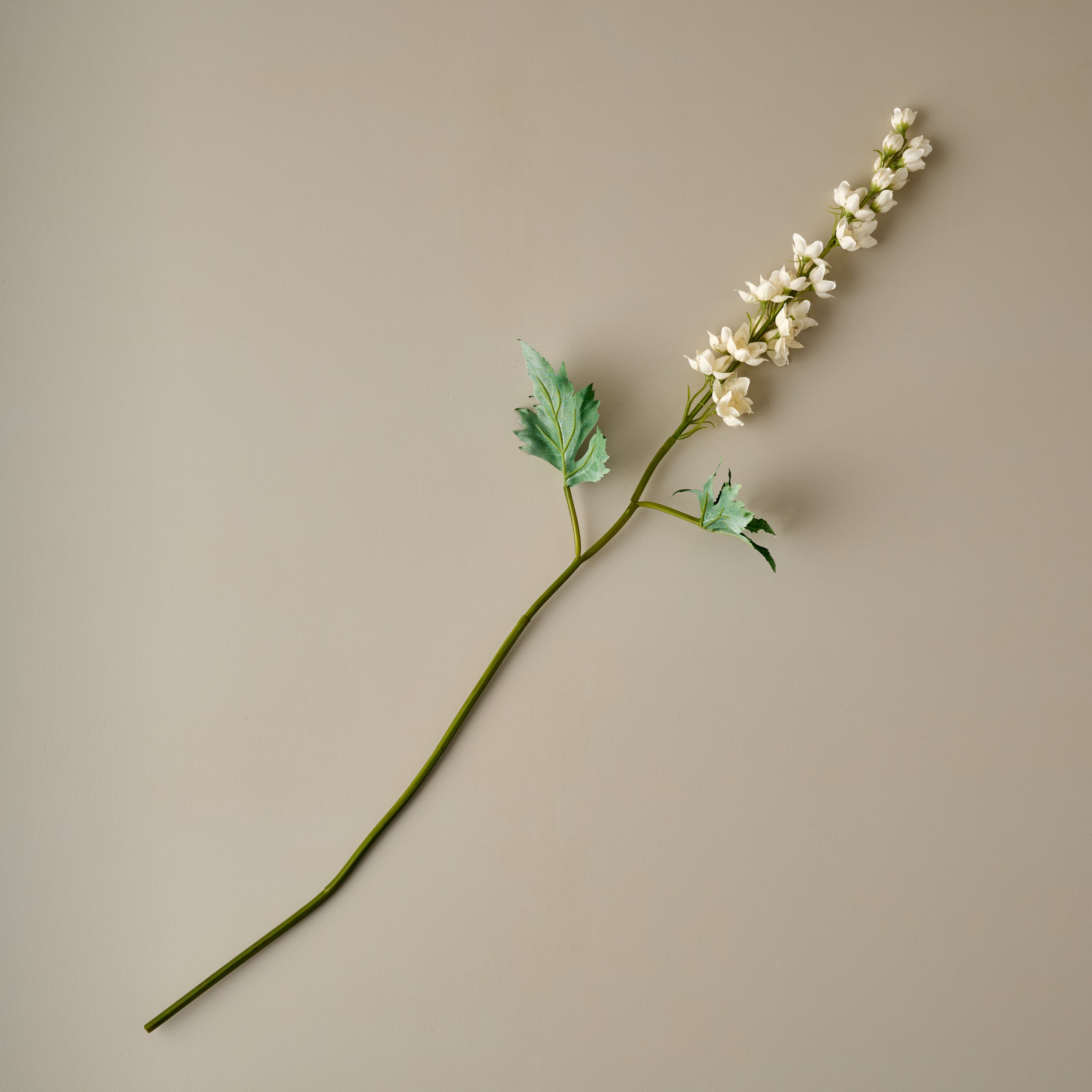 Larkspur Stem - Image 7