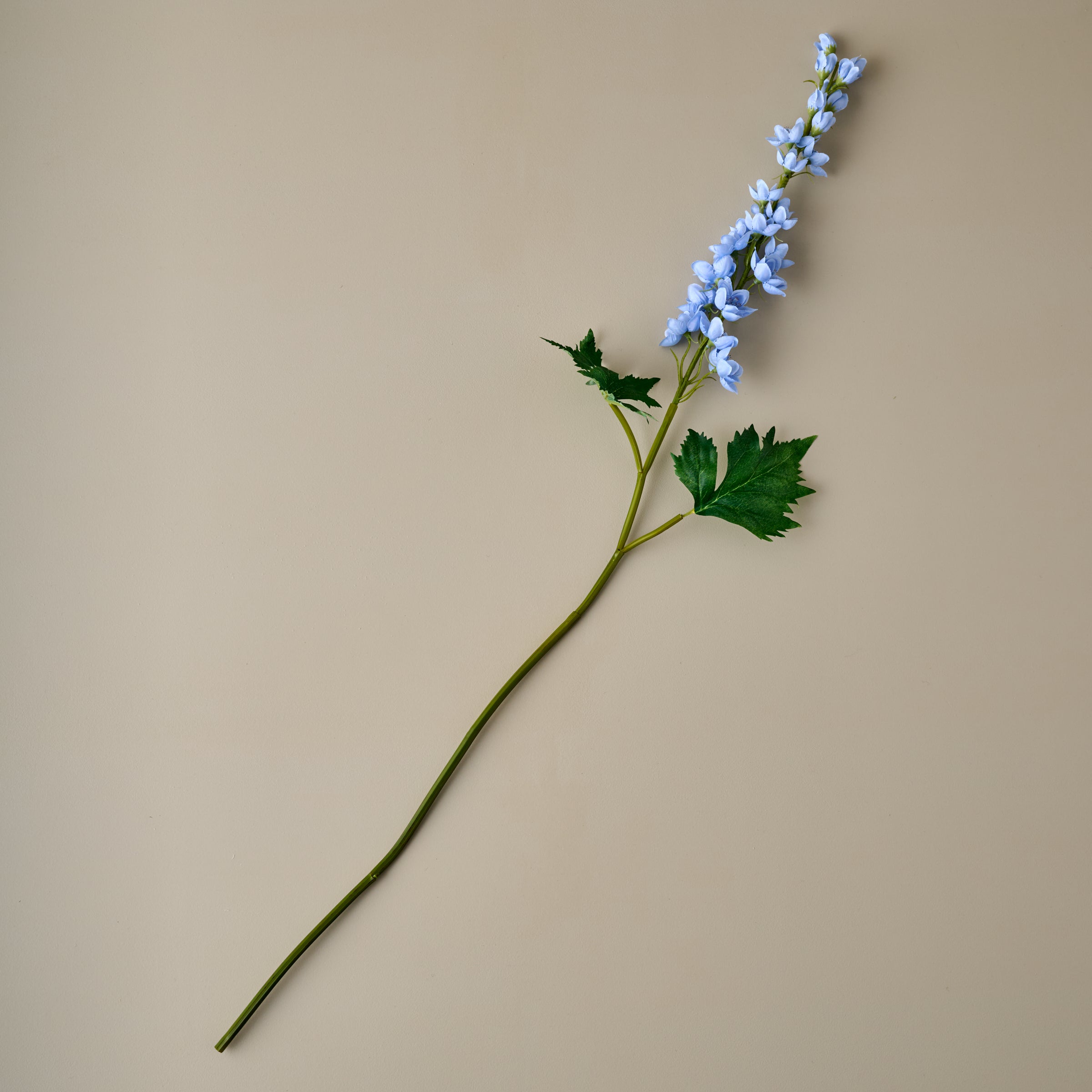Larkspur Stem - Image 4
