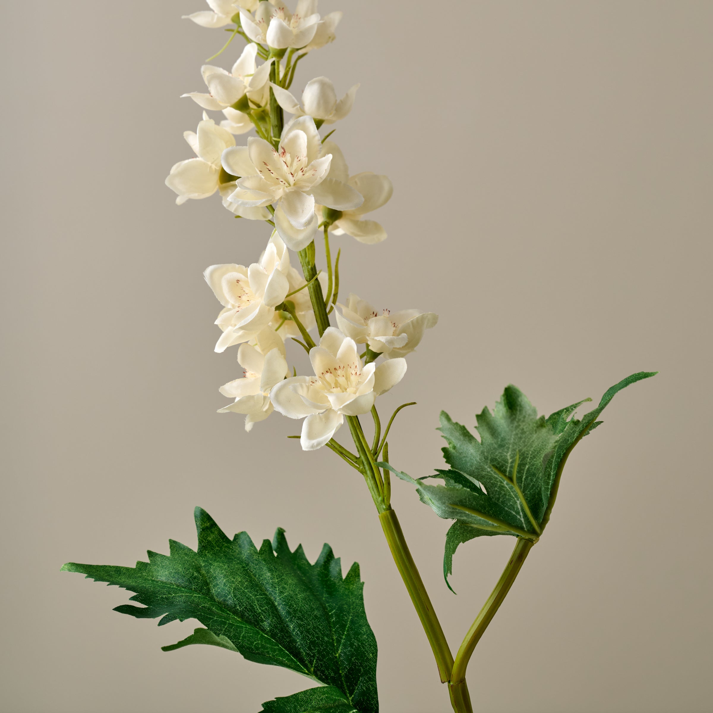 Larkspur Stem - Image 8
