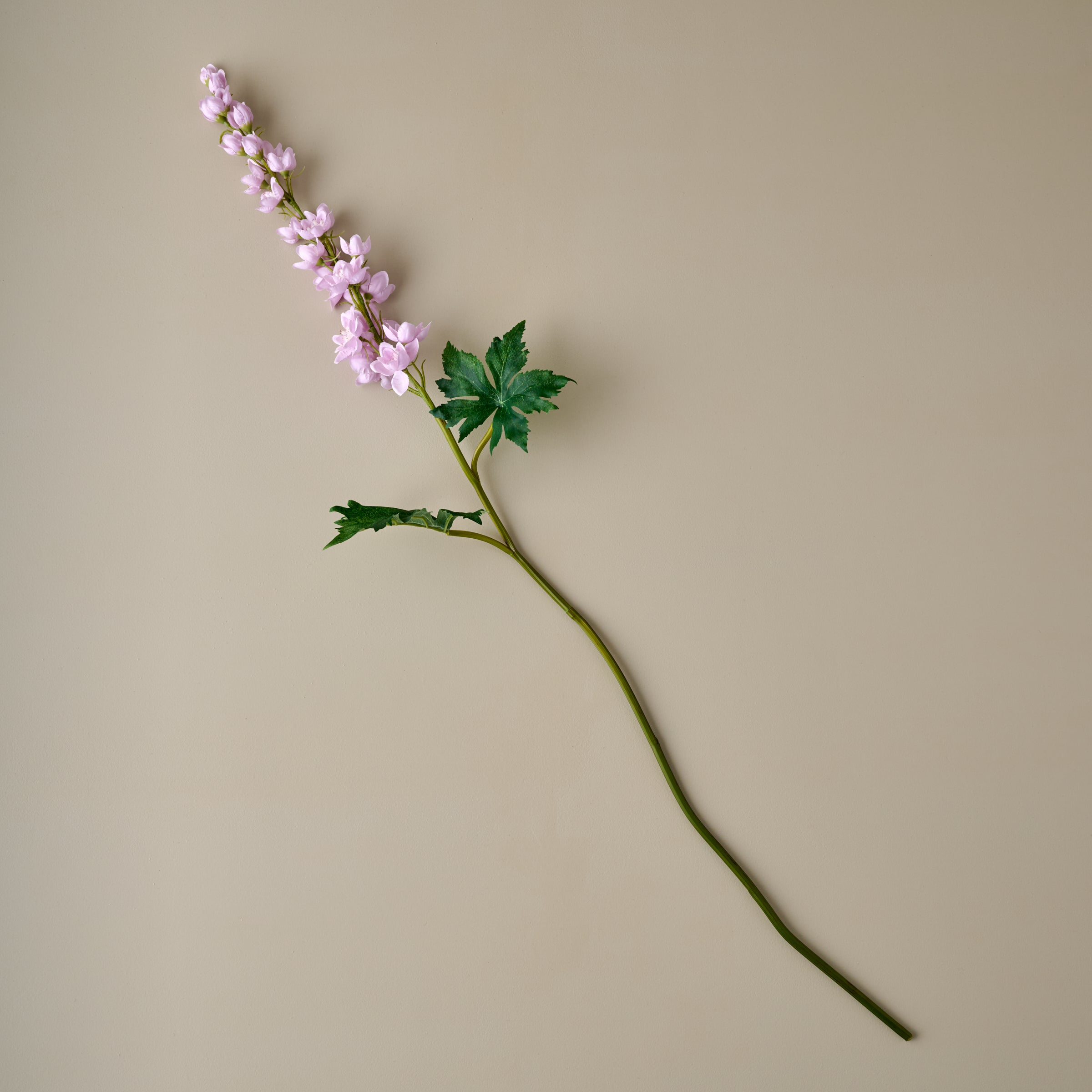 Larkspur Stem - Image 2
