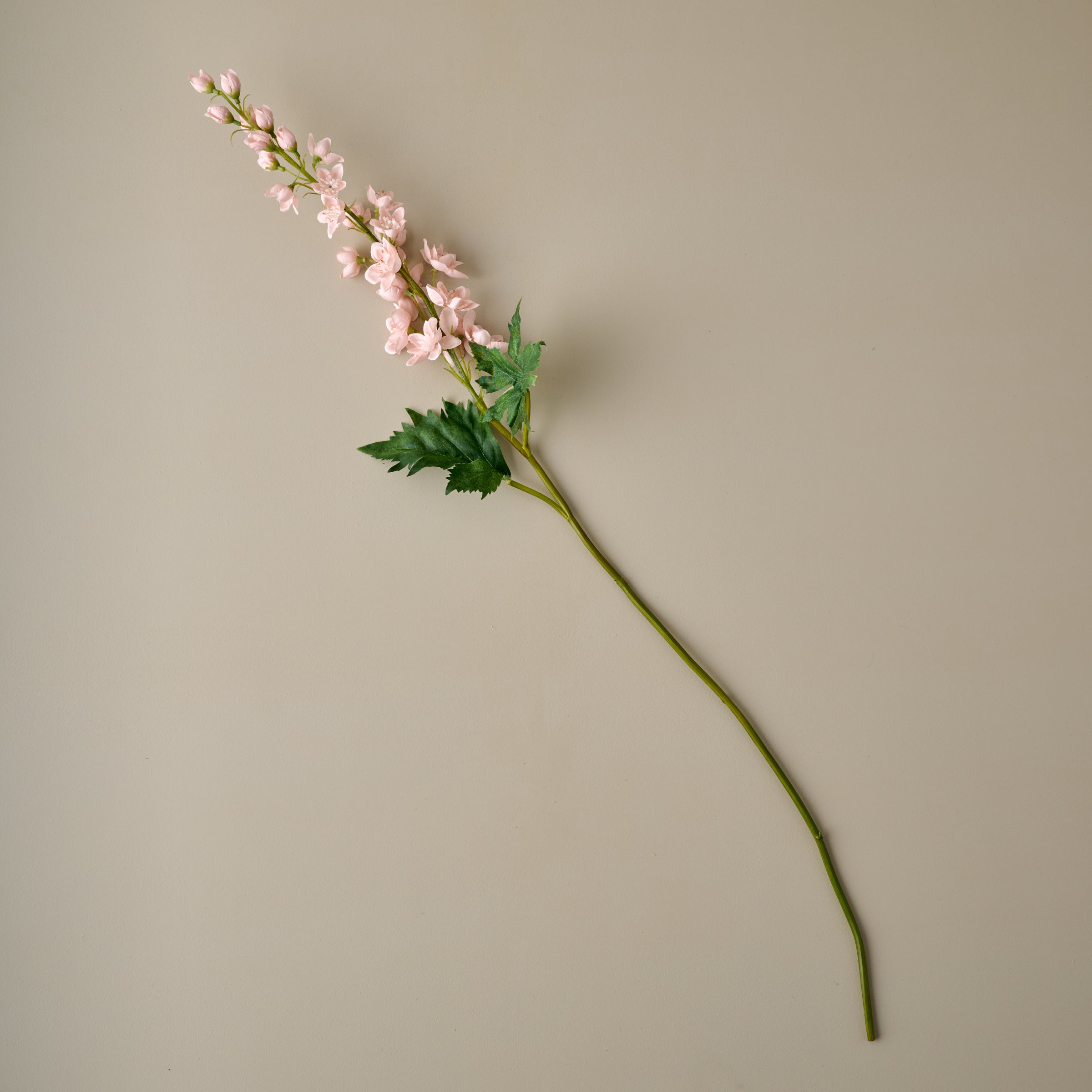 Larkspur Stem - Image 6