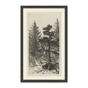 Tall Trees II