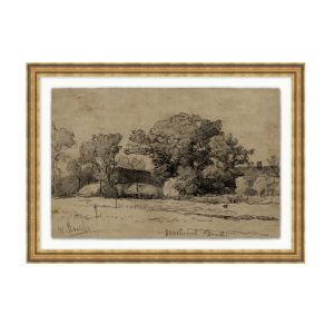 Farmland Study