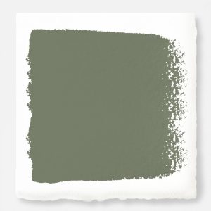 Bespoke Green -  Classic Interior Paint