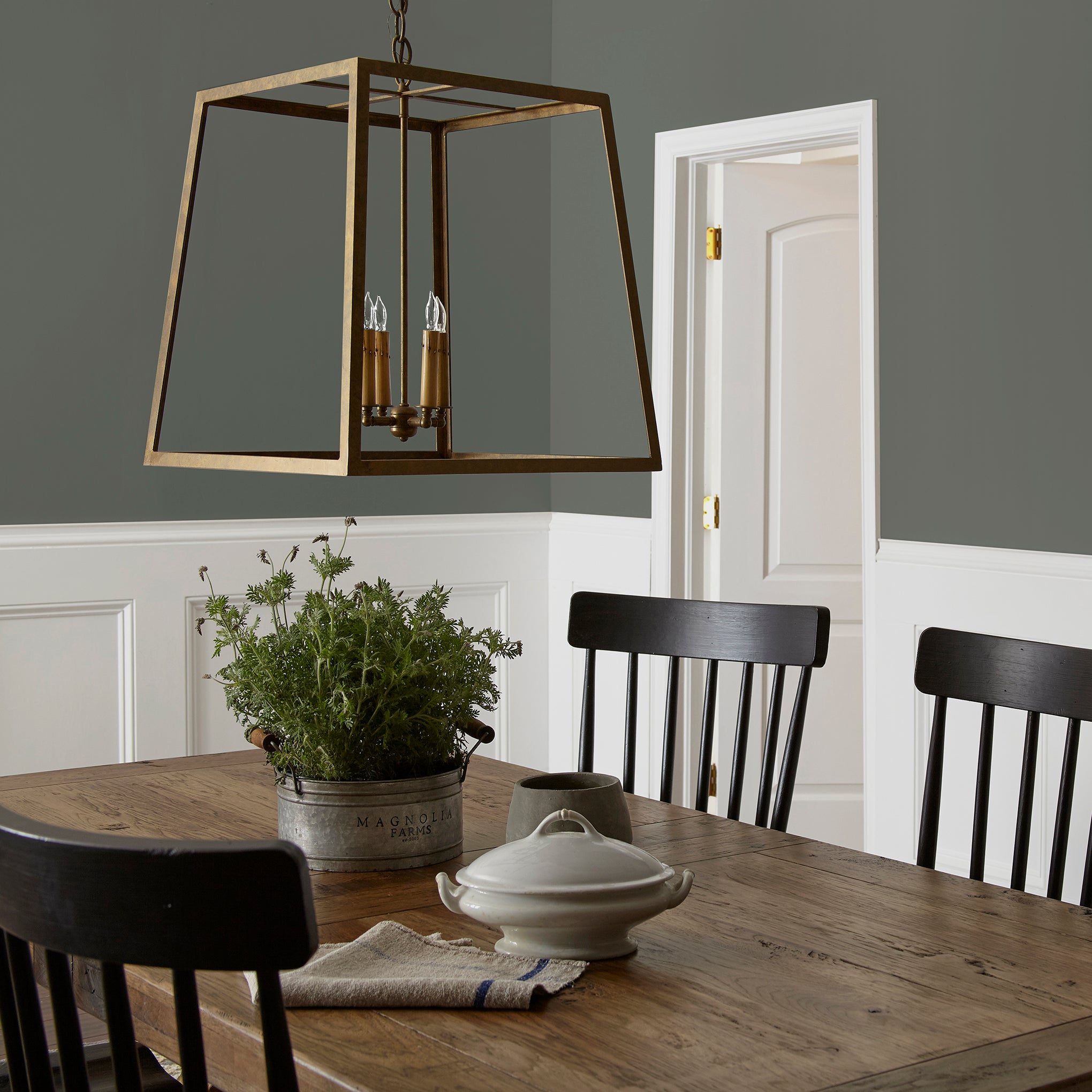Locally Grown - Classic Interior Paint - Image 5