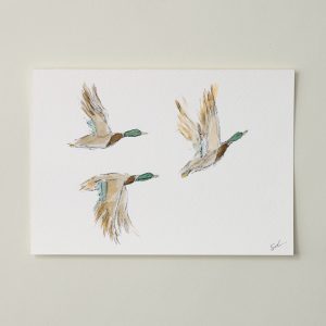 Mallards in Flight II Fine Art Print - 5 x 7