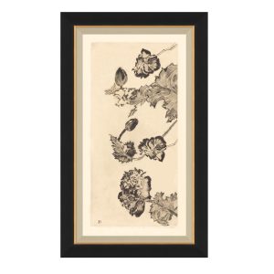 Vintage Peony II