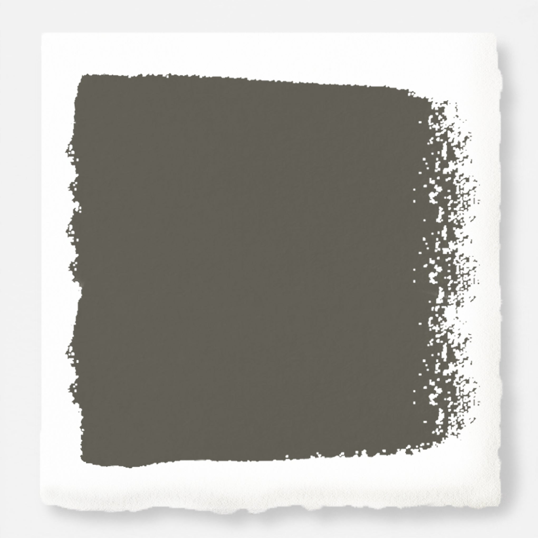 Trailhead - Classic Interior Paint