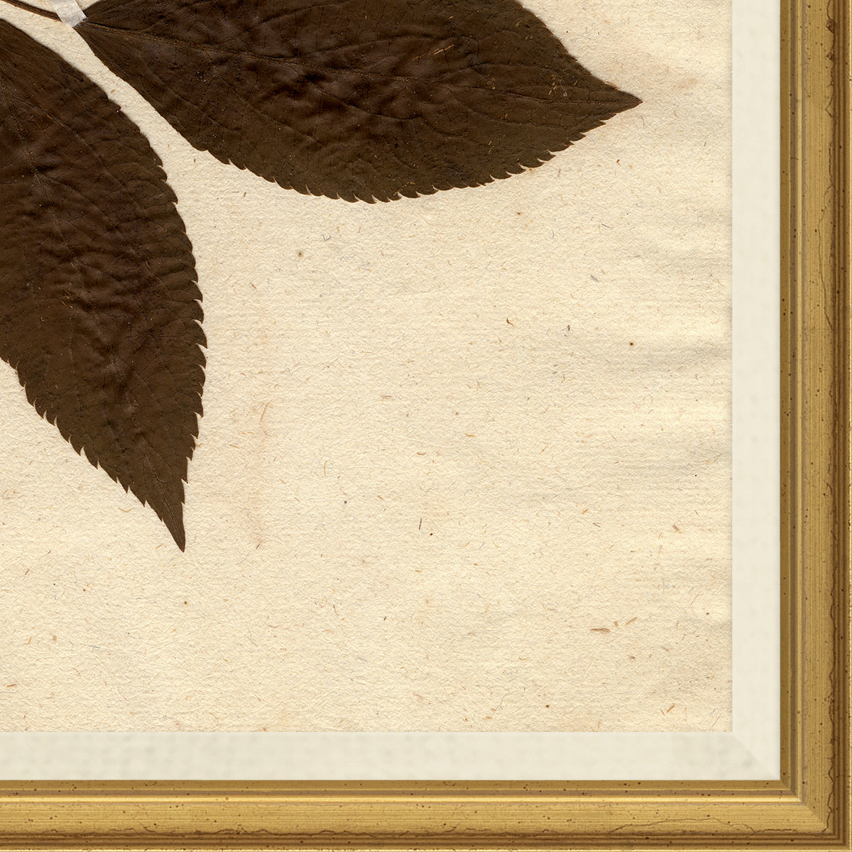 Pressed Floral I - Image 2
