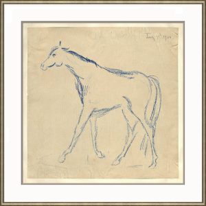 Horse Sketch