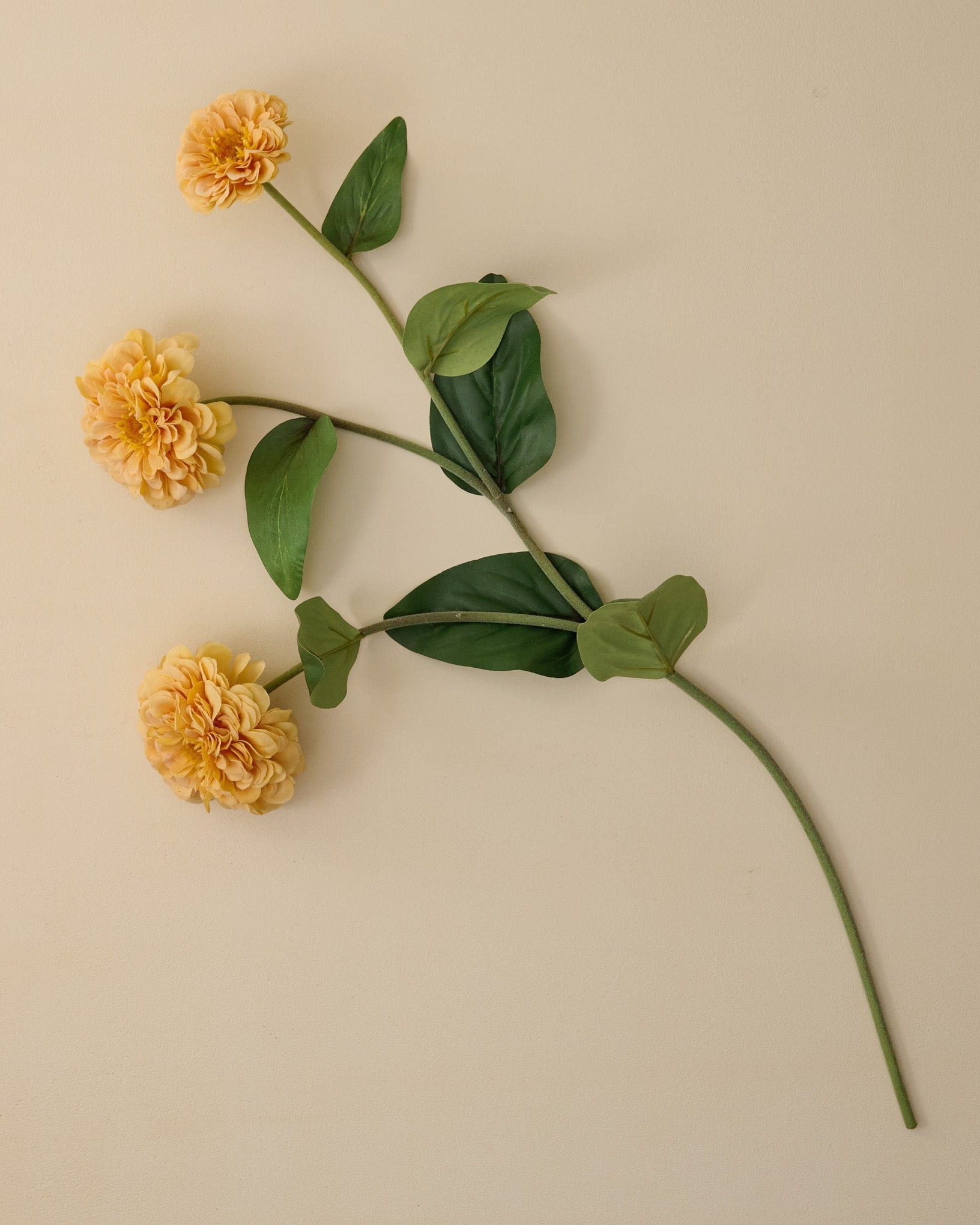 Real Touch Zinnia Stem - Image 11