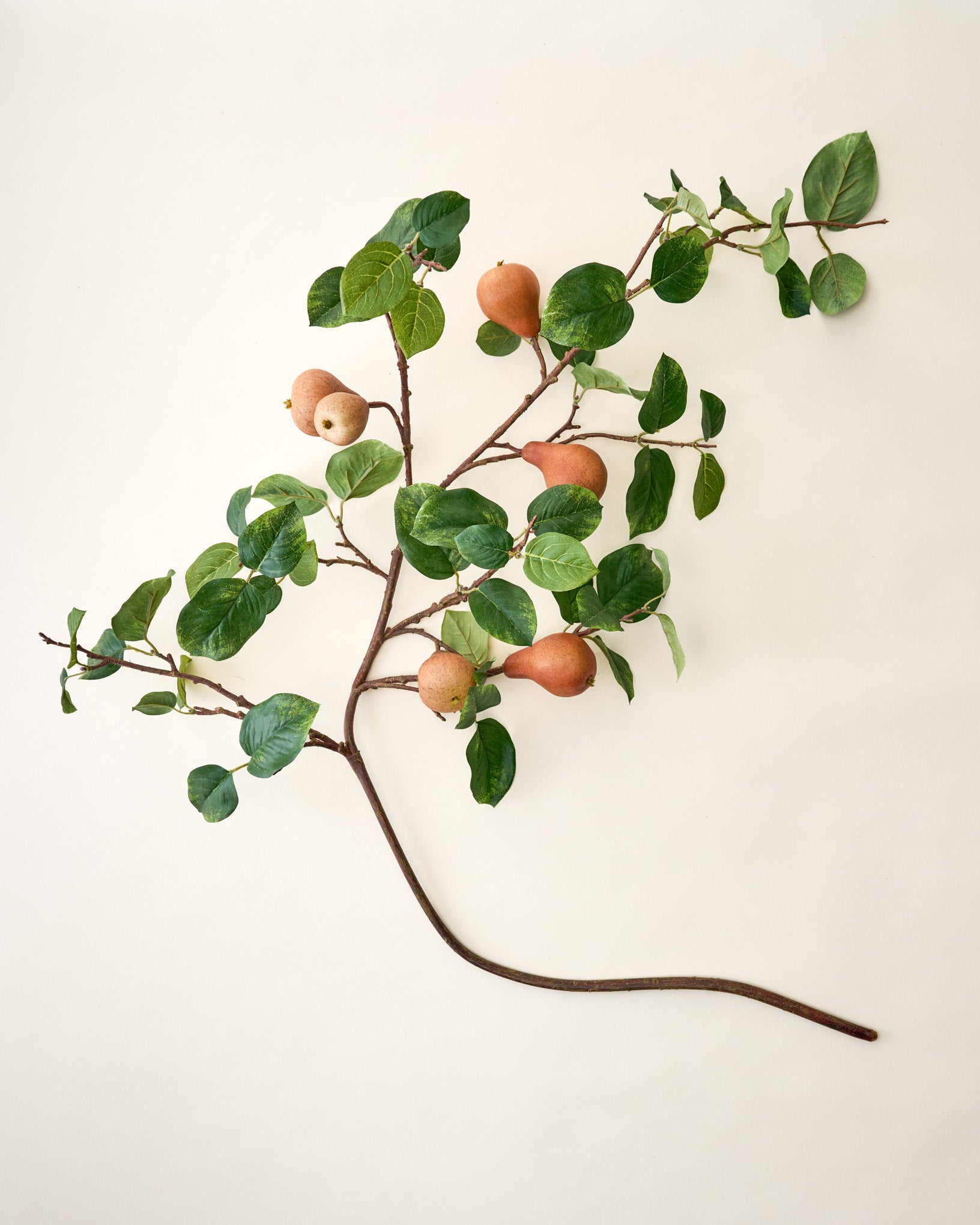 Oversized Pear Stem - Image 2