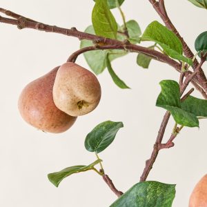 Oversized Pear Stem