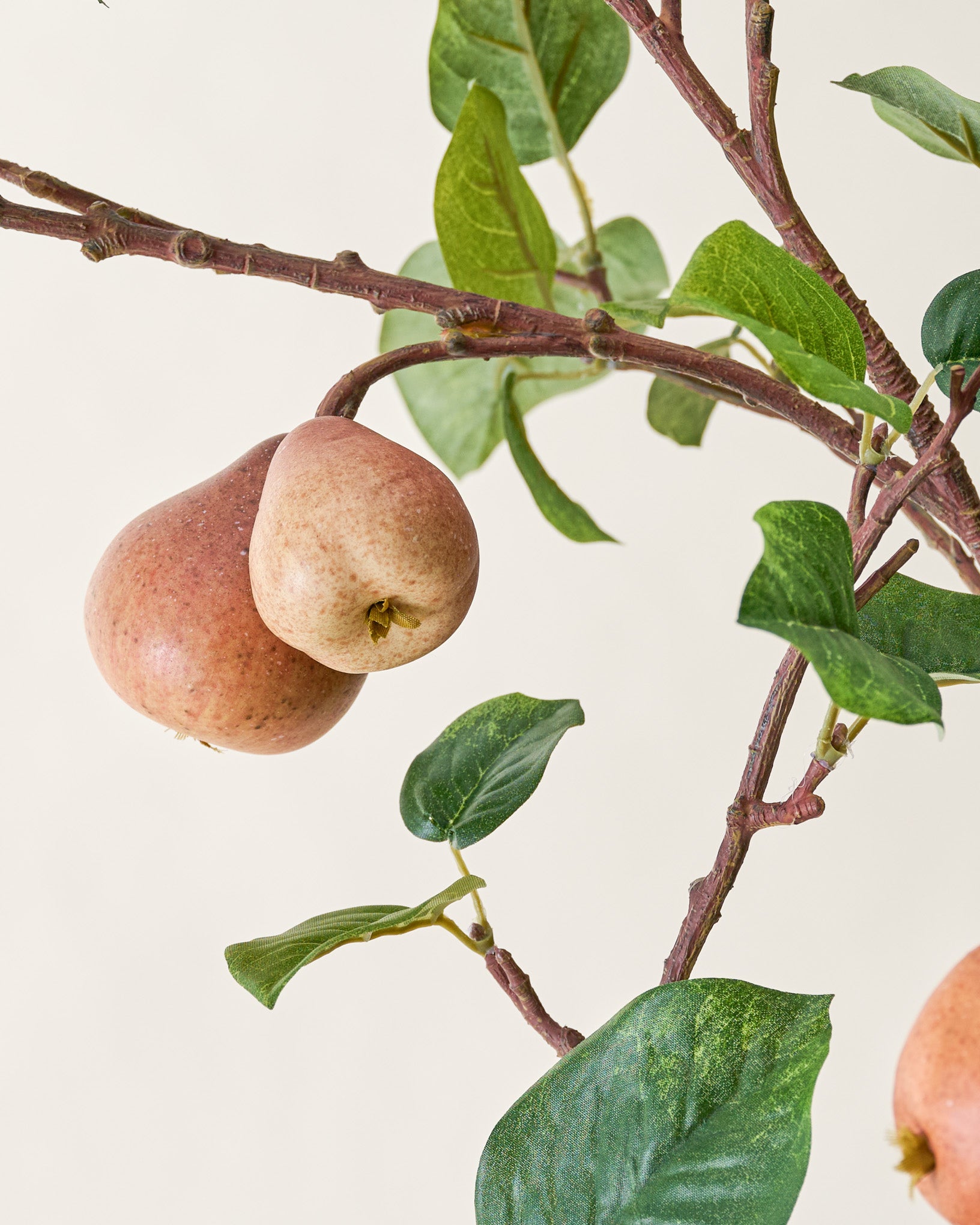 Oversized Pear Stem