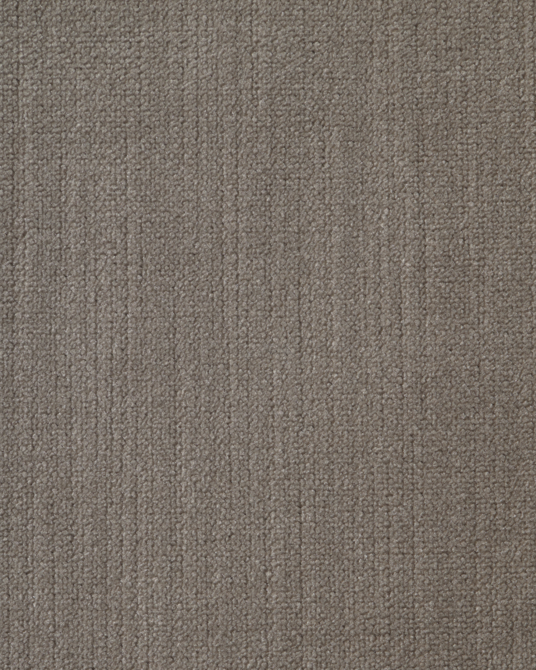Performance Velvet - Image 2