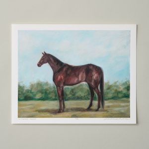 Quarter Horse Fine Art Print - 8 x 10