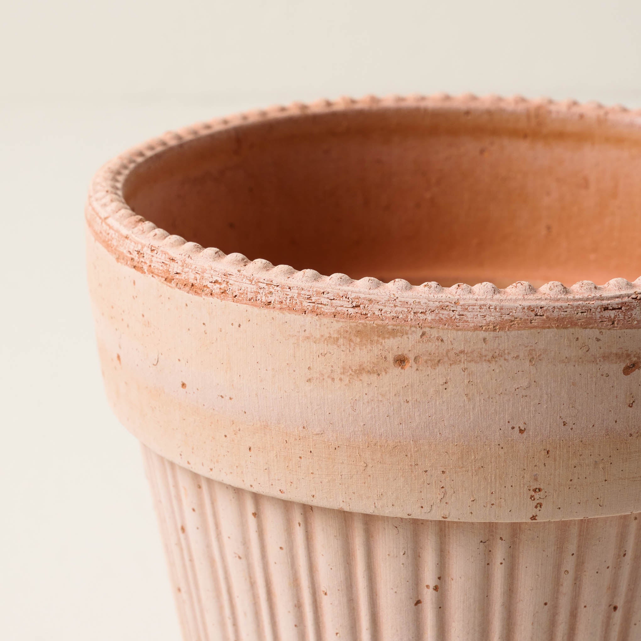 Terracotta Dotted Bergs Pot - Image 4