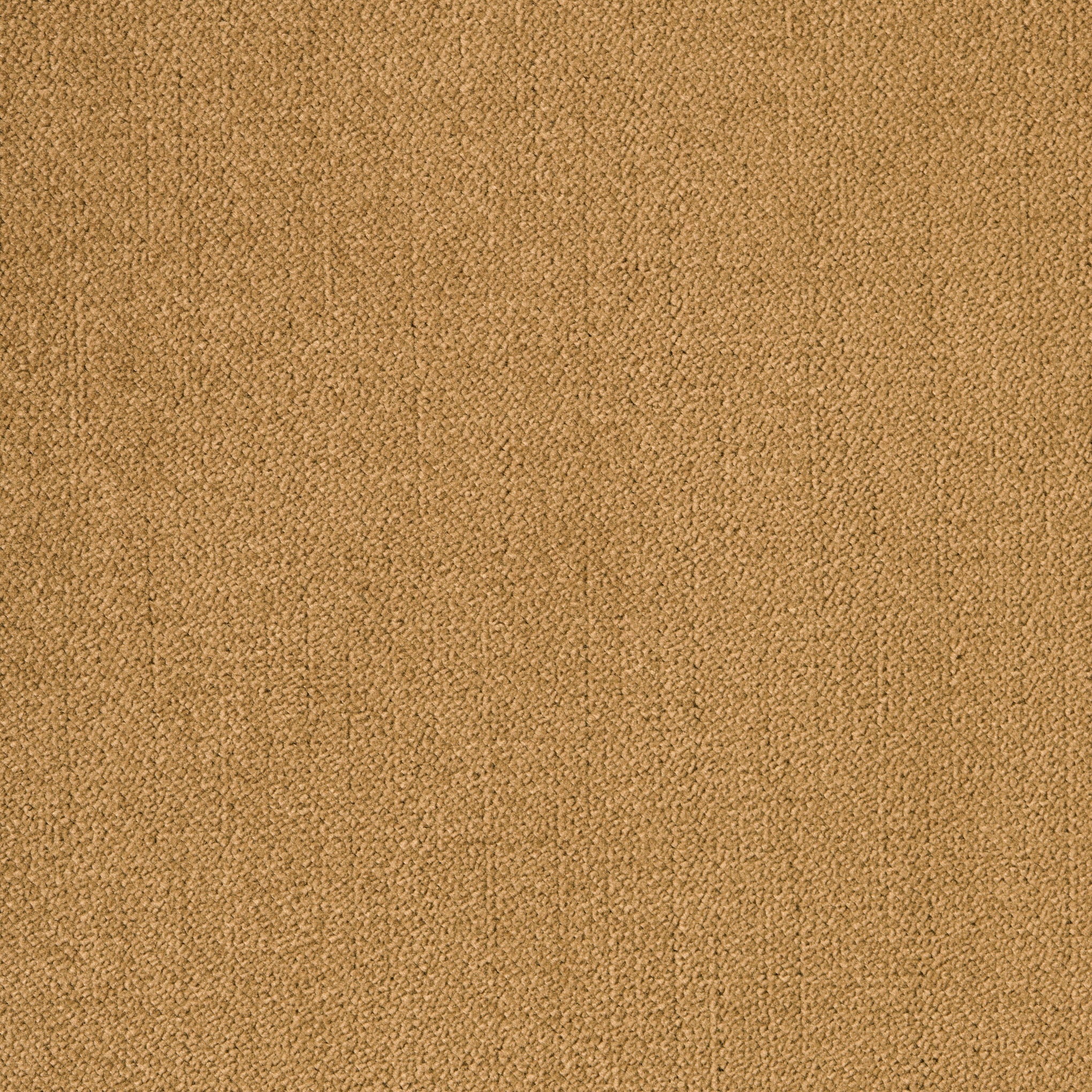 Performance Velvet - Image 6