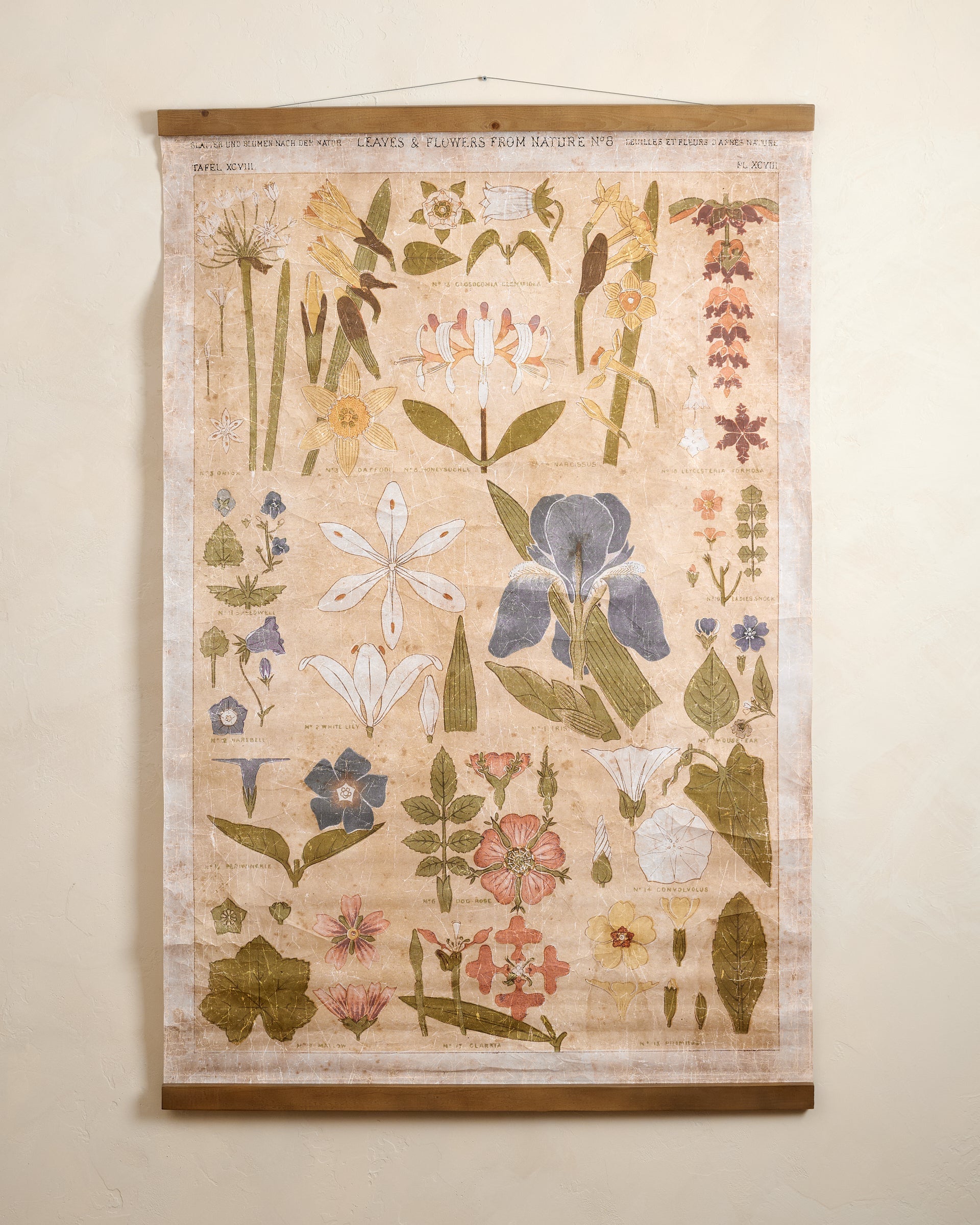Antique Botanical Study II Tapestry - Image 2