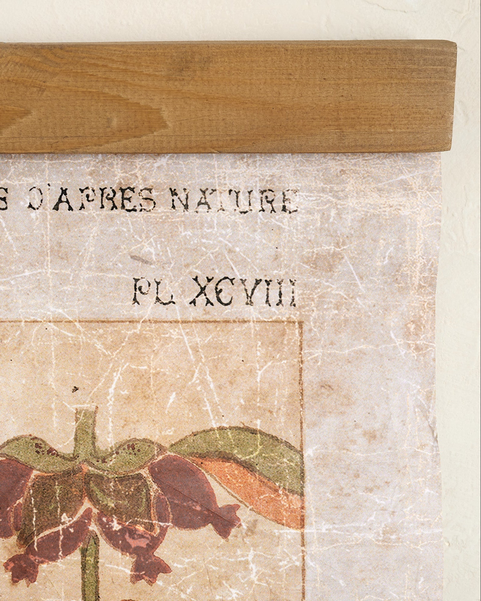 Antique Botanical Study II Tapestry - Image 3