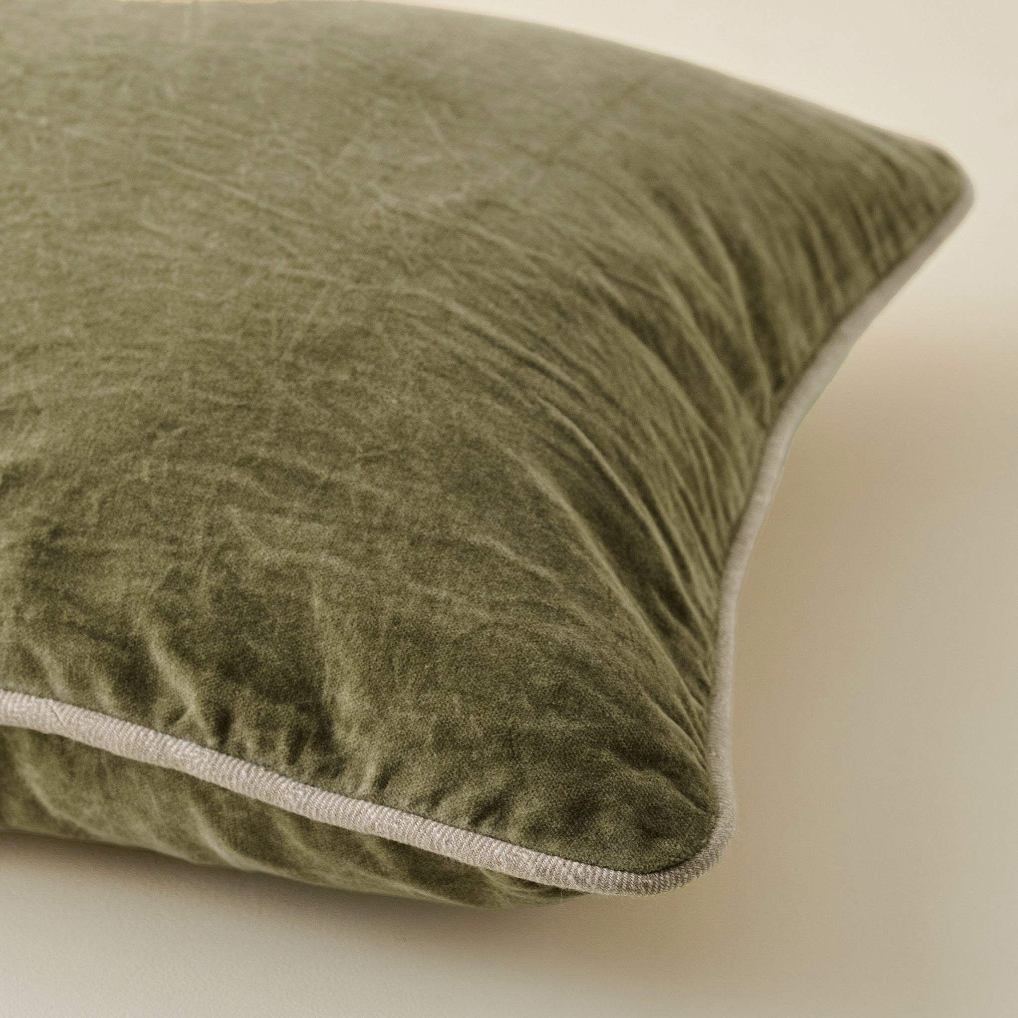 Heirloom Velvet Pillow - Image 2