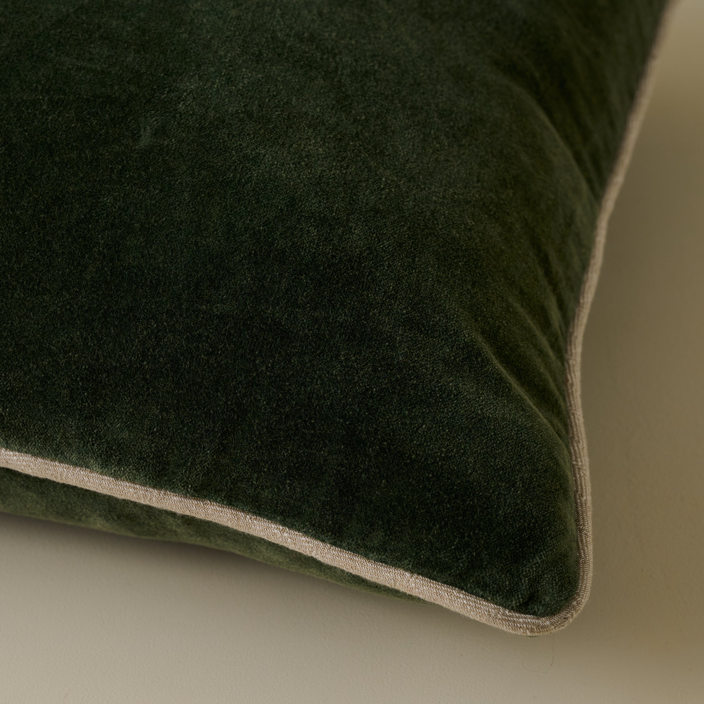 Heirloom Velvet Pillow - Image 5