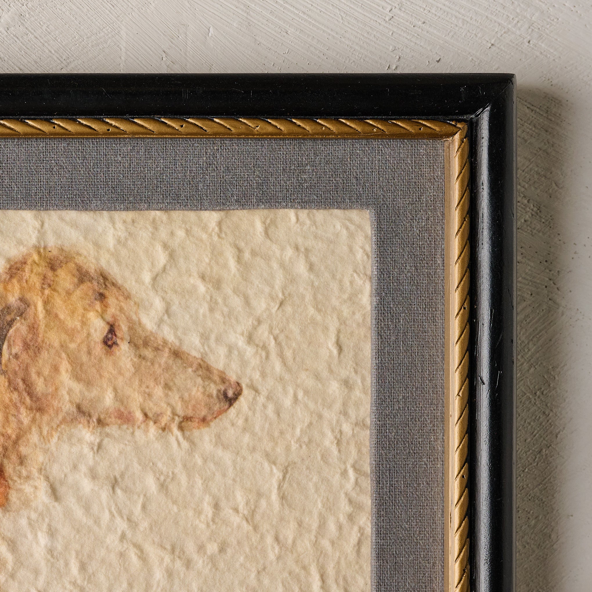 Timeless Companion - Image 3