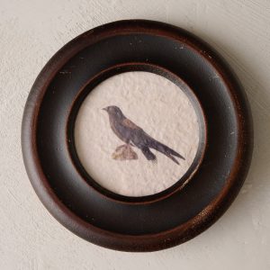 Vintage Framed Bird Print