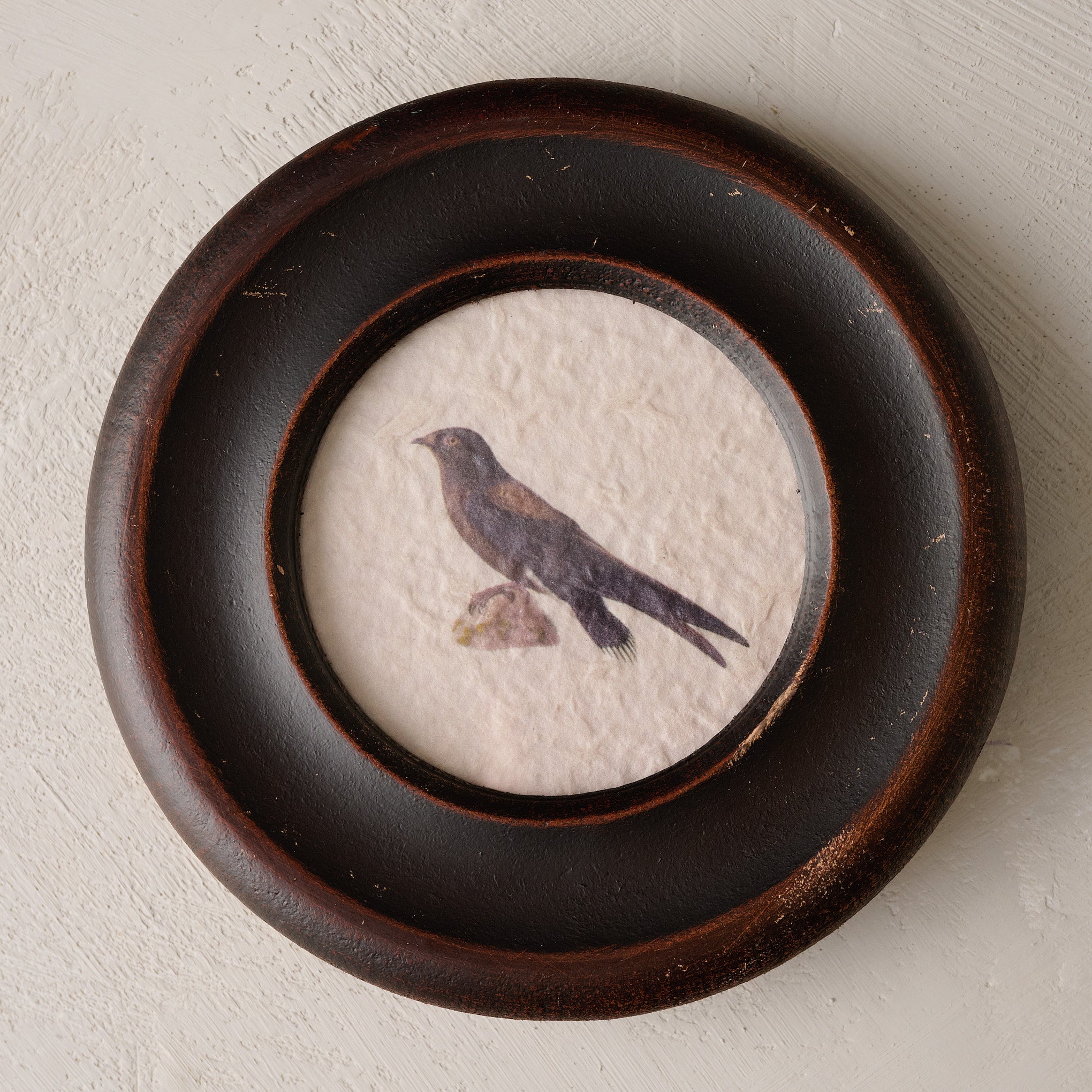Vintage Framed Bird Print